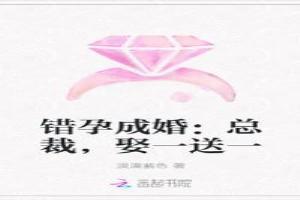 错孕成婚：总裁，娶一送一